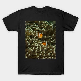 A Pair of Anemonefish T-Shirt